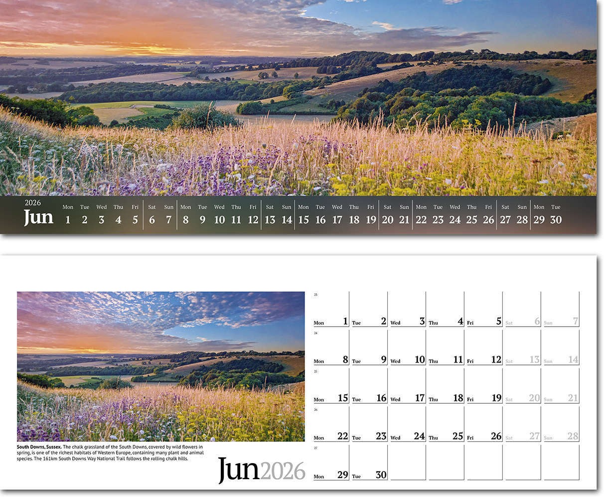 Wild Britain Premium Lined Easel Desk Calendar