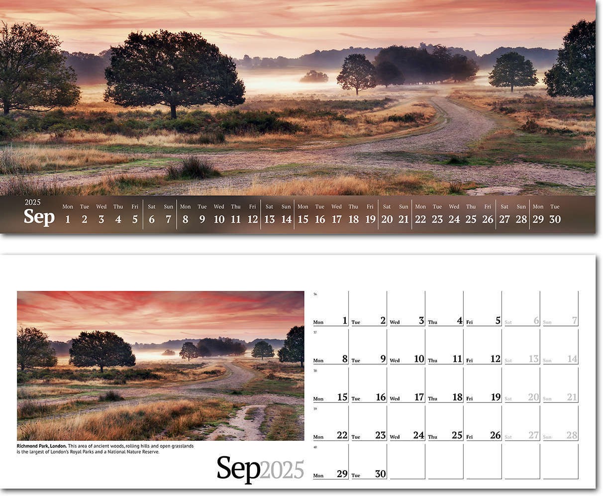 Wild Britain Task Station Desk Calendar