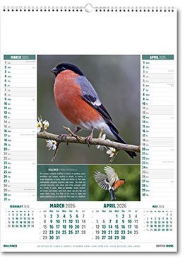 British Birds Calendar