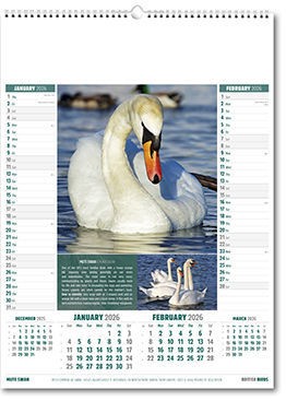 British Birds Calendar