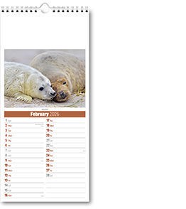 Slimline British Wildlife Compact Calendar