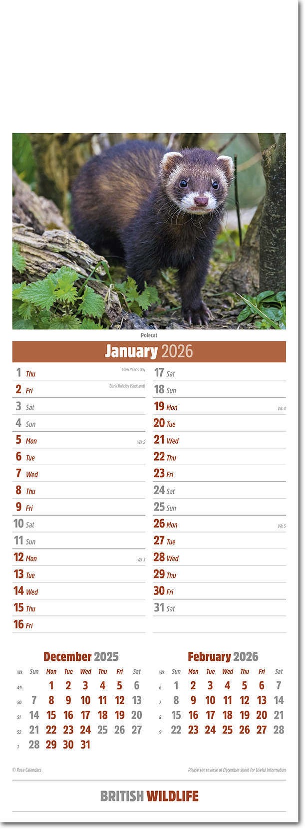 Slimline British Wildlife Calendar