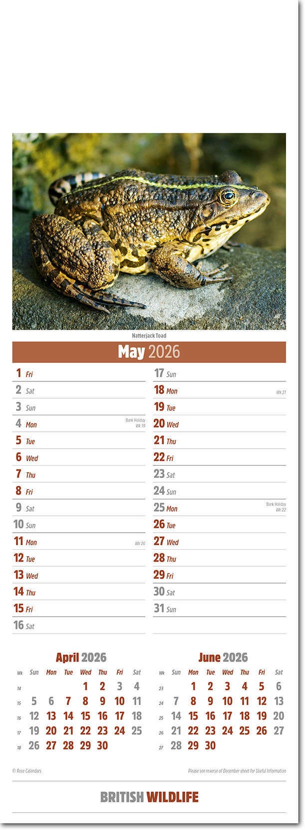 Slimline British Wildlife Calendar