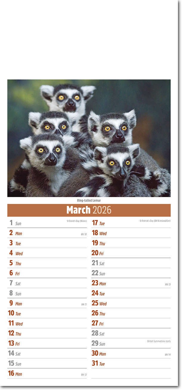 Slimline World Wildlife Compact Calendar